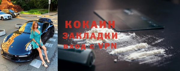 шишки Семёнов